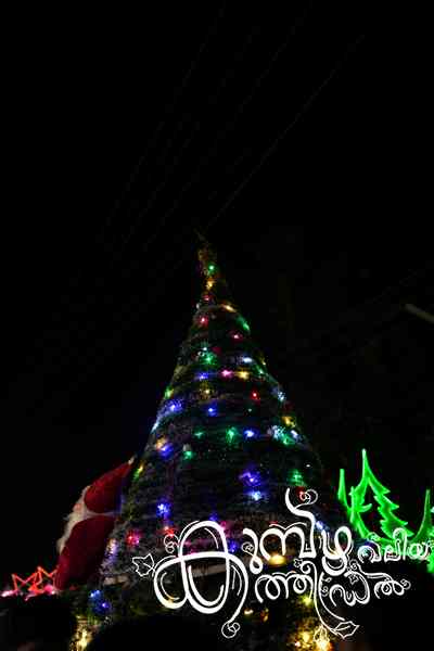 Christmas 2025 Photo