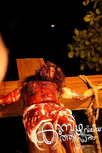 Christmas 2025 Photo