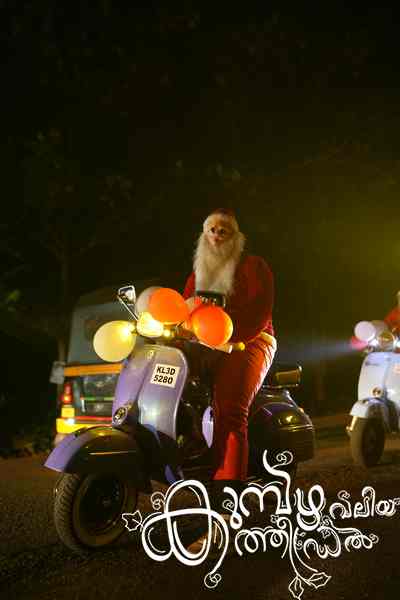 Christmas 2025 Photo